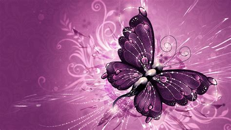 hd wallpapers  butterfly images     hd wallpapers wallpapers
