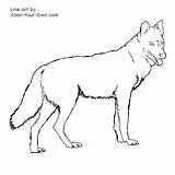 Wolfdog Hybrid Designlooter sketch template