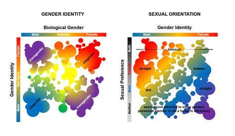 Between The Gender Lines The Science Of Transgender
