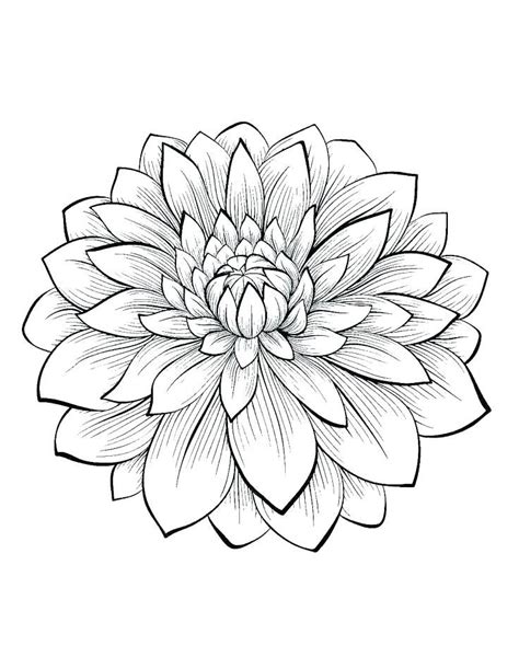 flower coloring pages google search printable flower coloring pages