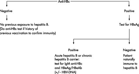 Hepatitis A B And C Sexually Transmitted Infections