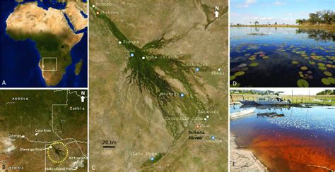 Geography And Character Of The Okavango Delta Map Of
