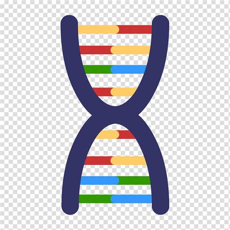 Dna Line Mutation Genetics Genetic Testing Base Pair Dna