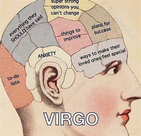 pin on virgo quotes memes