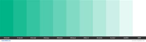 vine colors palette  abc ca colorswall