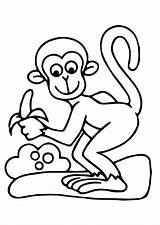 Singe Monkeys Singes Colorier Facile Coloriages Gratuitement sketch template