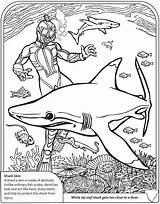 Sharks Dover Hammerhead Doverpublications Grundschule Coloringhome Worksheets Animal Requins Megalodon Coloriage Buch Tiburones Malvorlagen Vorlagen Dibujo Octonauts sketch template