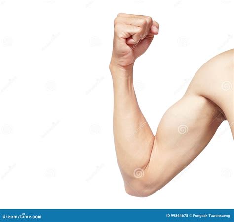strong arm man muscle isolated  white background  clipping stock photo image