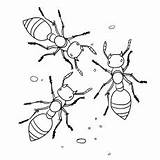 Coloring Ant Ants Pages Printables Printable Toddler Based Theme Articles Will sketch template