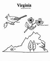 Virginia State Coloring Pages Map Outline Va Printables Kids States Usa Shape Sheets Tattoo Go Print Next Back sketch template