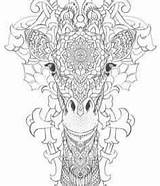 Volwassenen Kleurplaat Moeilijk Dieren Giraffe Kleurplaten Giraf Moeilijke Schattig Omnilabo Girafe Adultes Coloriages Downloaden Thérapie Imprimer Adulte Mandalas Uil Olifant sketch template