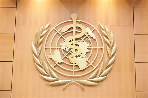 wha roundup  takeaways   world health assembly