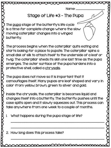 butterfly life cycle unit  images butterfly life cycle life