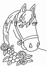 Pferde Pferd Malvorlage Ausmalbilder Malvorlagen Ausdrucken Pferdekopf Malen Vorlage Hufeisen Drucken Gratis Barbie Koppel sketch template