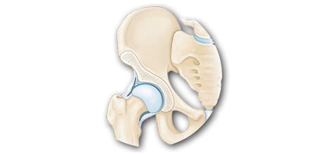 direct anterior hip replacement cnos pc