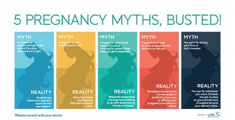 5 Pregnancy Myths Busted Infographics