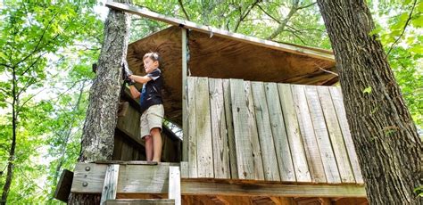 treehouse ideas  kids  love