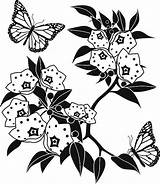 Laurel Mountain Clipart Blossom Clipground Similar sketch template