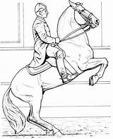 Caballos Jumping Caballo Doma Cavalos Cavalo Lipizzaner Dressage Cabeza Dibujoswiki sketch template