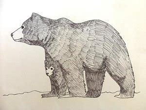 bear cub drawing  getdrawings