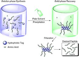 practical solution phase synthesis   antagonistic peptide  tnf