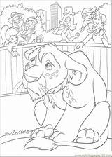 Wild Ryan Coloring Pages Lion Zoo Printable Cub Samson Kleurplaten Het Color Kleurplaat Dierentuin Van Silhouettes Online sketch template