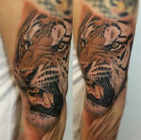 Realistic Tiger Tattoo On The Left Upper Arm