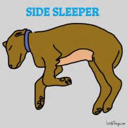 que dice la forma de dormir de mi perro