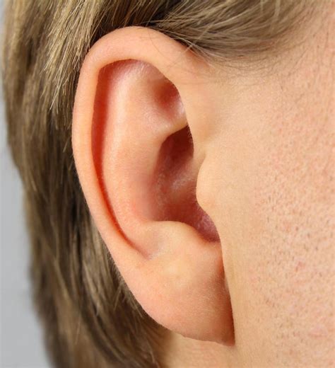 expect  ear lobe surgery  pictures