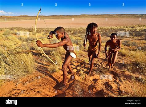 Bushmen Of The San People Hunting Kalahari Or Kgalagadi