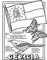 Georgia Coloring Pages Crayola State Sheets Flag Color Symbols Printable Kids States Print Social Kindergarten Book Atlanta Bird Studies Brown sketch template
