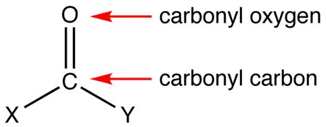 carbonyl group chemistry libretexts