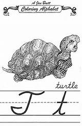 Cursive Alphabet Turtle Coloring Brett Jan Pdf Click sketch template
