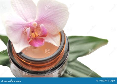 spa cream stock photo image  relaxation therapy treatment