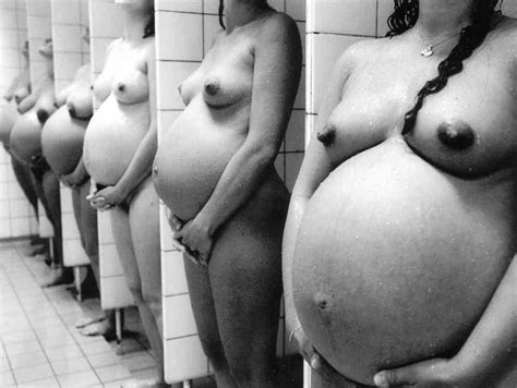 breeding women pregnant tumblr