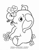 Elefante Elephant Imprimir sketch template