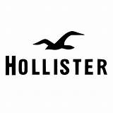 Hollister Hypebeast Logodix sketch template