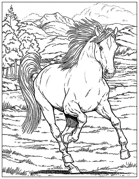 horse coloring pages  adults kids cowgirl magazine