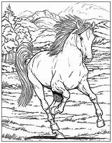 Horse Coloring Galloping Pages Getcolorings Printable sketch template