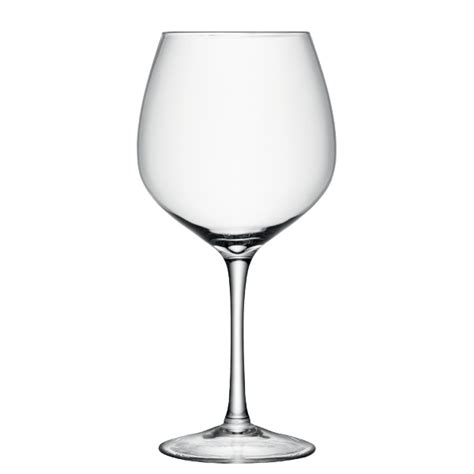 Lsa Midi Wine Glass 134oz 3 8ltr Giant Glassware