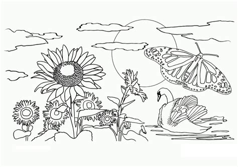 printable coloring pages camping  printable nature coloring