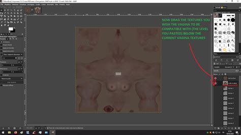 male vagina mod working and with collisions now with optional sos