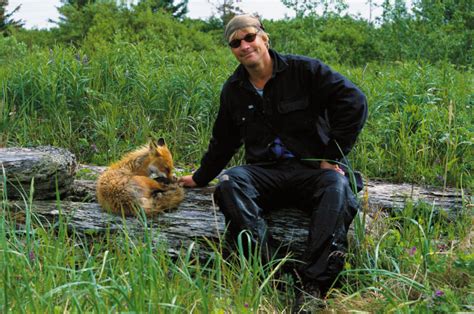 timothy treadwell death junglekeyfr image