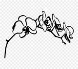 Anggrek Siluet Flower sketch template