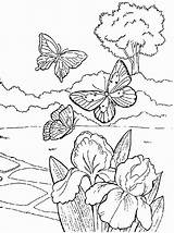 Primavara Colorat Desene Planse Plansedecolorat Mariposas sketch template