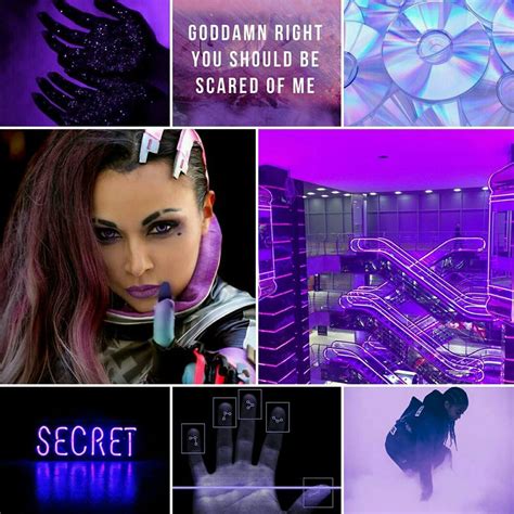 aesthetics requests open kin friendly — an aesthetic board for sombra i will be doing all