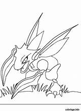 Scyther Colorier Scizor Imprimé Fois sketch template