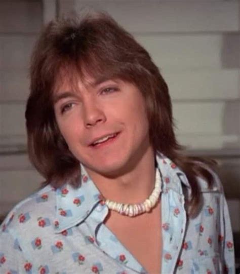Pin By Janice Campbell On David Cassidy My Teenage