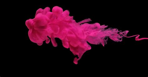 pink color ink splash stock video envato elements