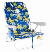 Image result for Big Blue Pineapple Chair. Size: 176 x 185. Source: clipdesignerweb.blogspot.com